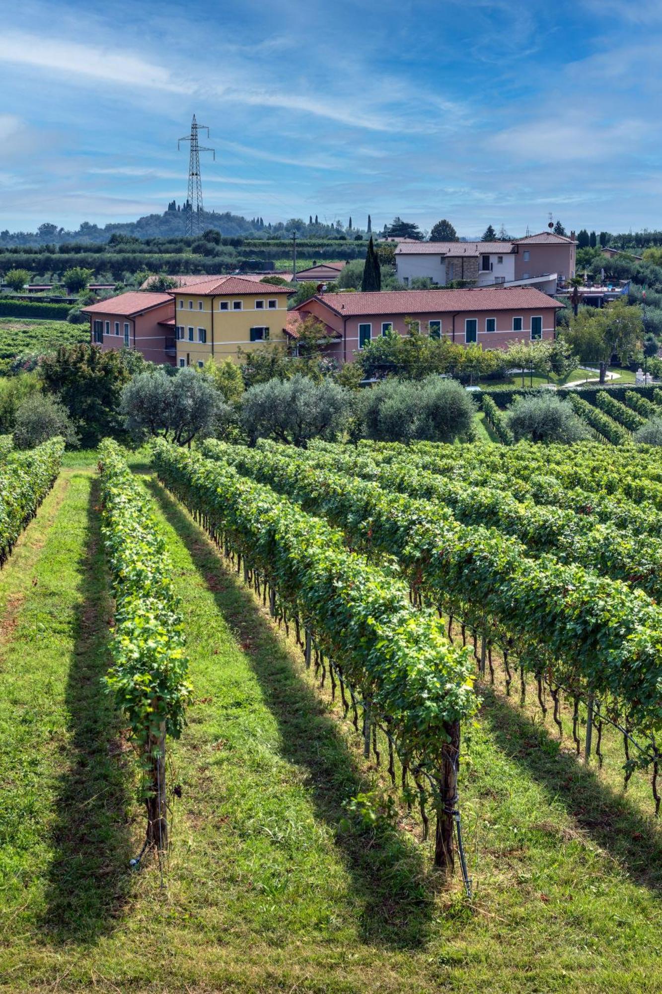 Tenuta Di Palu Aparthotel Bardolino Buitenkant foto